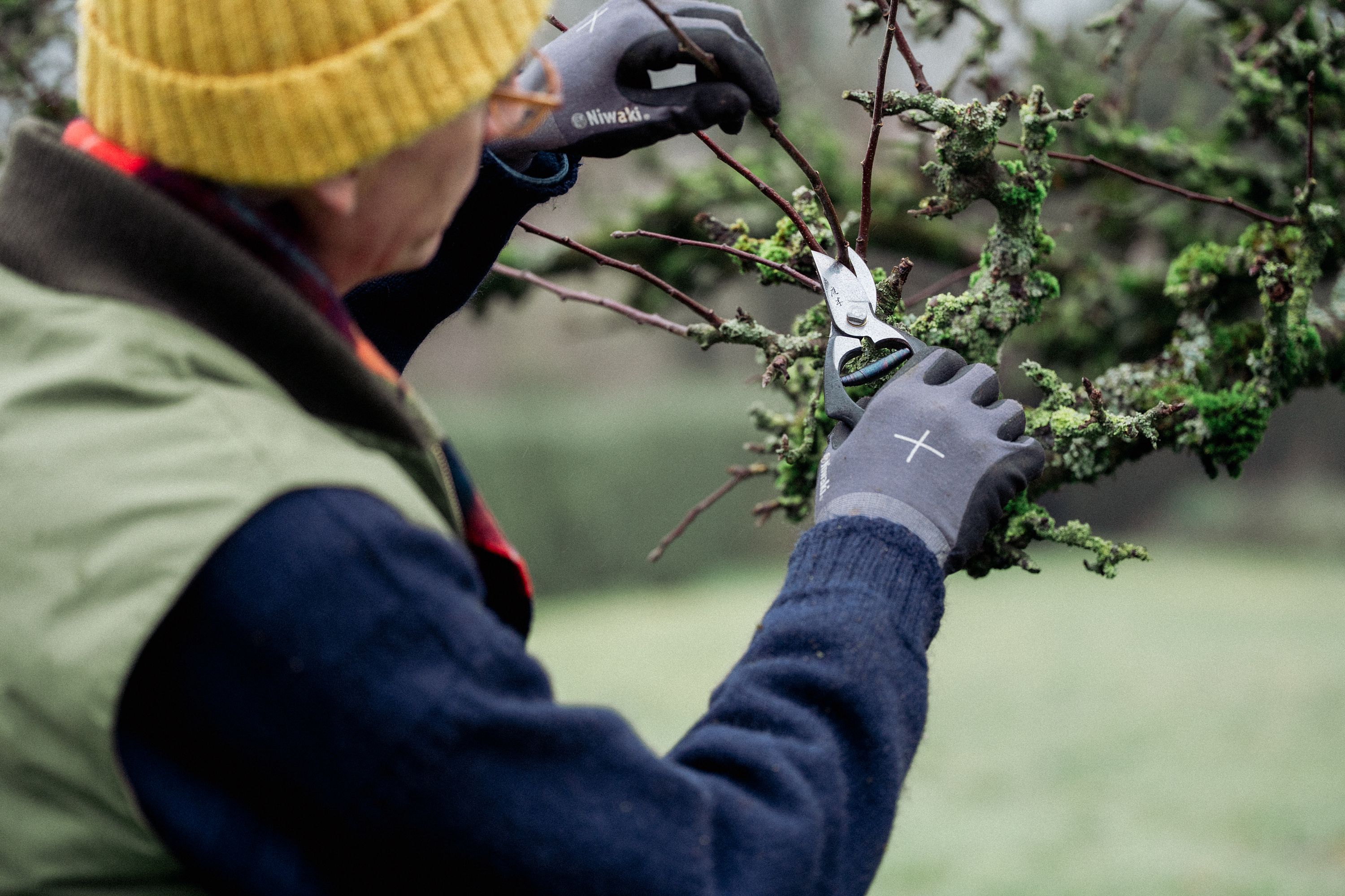 Jake orchard pruning with Niwaki Yamakawa Secateurs